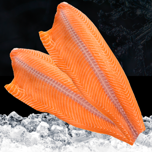 Salmón Filete Premium T-E S/Piel